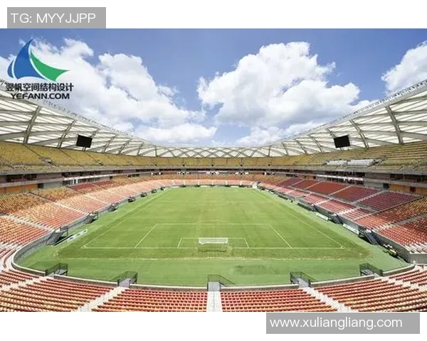 足球世界的魅力：从场上竞技到全球文化的深远影响