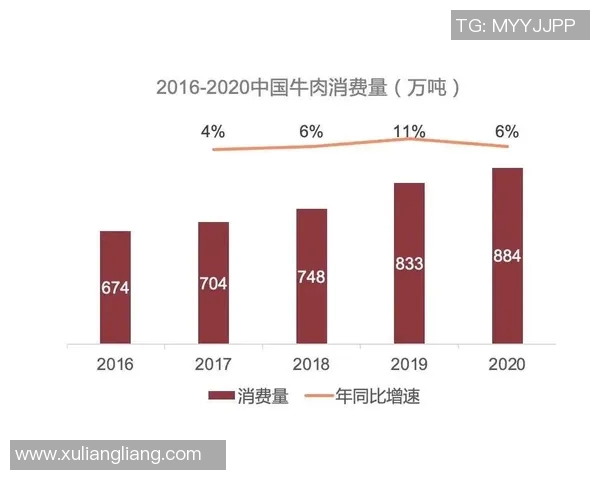 西安极限运动队中路突破的背后故事与发展趋势解析 西安极限运动队中路突破的背后故事与发展趋势解析