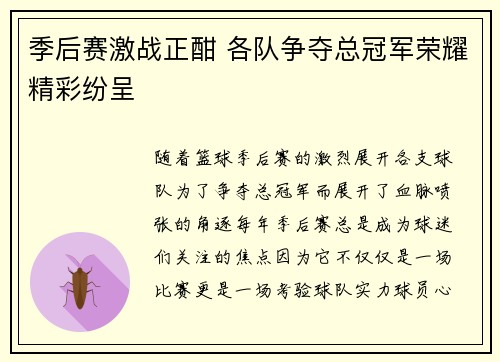 季后赛激战正酣 各队争夺总冠军荣耀精彩纷呈